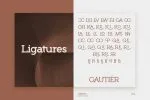 Roseau Slab Font