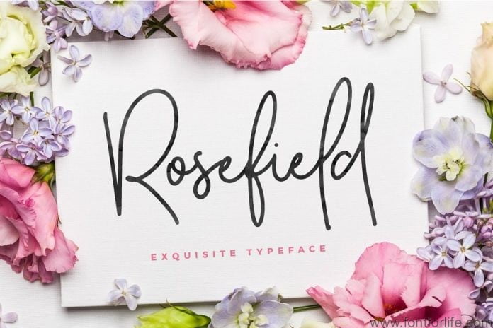 Rosefield Typeface Font