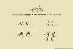 Roselind Font Swashes Ornaments Font