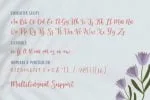 Rosemate Font