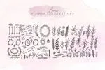 Roseville Script Font