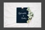 Rossitta Modern Script Font