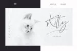 Rostock Duo Font