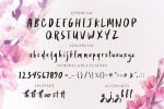 Rosydit - Handlettered Script Font