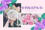 Rothelyn Font