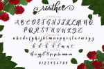 Routher - beautiful script font