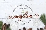 Routher - beautiful script font