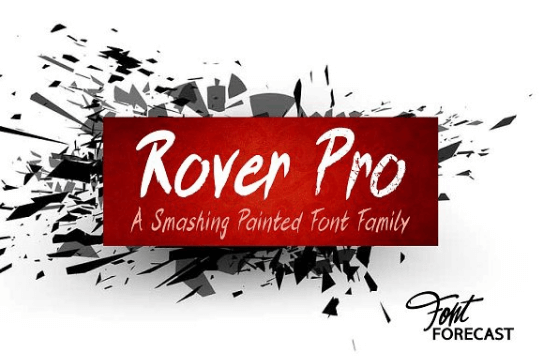 Rover Pro Family