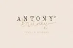 Rovey Duo Font