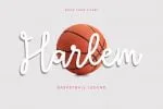 Royattin Modern Calligraphy Monoline Font