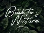 Rufist Font