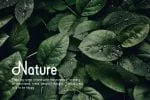 Runtiah Font