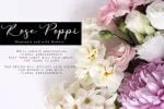 Ruth Daisi Font