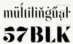 SF Kingston Font