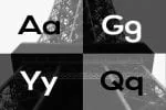 SIEGNER Modern Typeface WebFonts Font