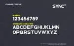 SYNC - Modern Sans Serif Font