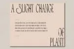 Sabelano Font