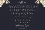 Saddle River Font