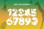 Safari Font