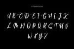 Safetread Font