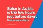 Sahar Sans Family Font