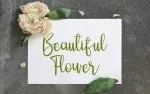 Sahitna Font
