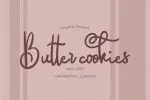 Saillendya Handwritten Brush Typeface