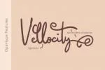 Saillendya Handwritten Brush Typeface