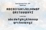 Saint Sylvestre Font