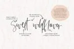 Saison Font