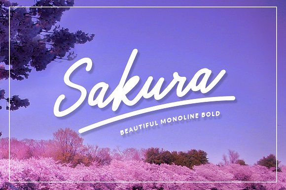 Sakura Bold Font Set 40% OFF