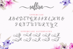 Sallisa Font