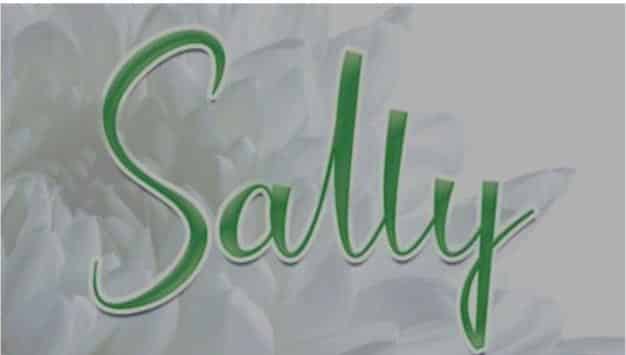 Sally Elegant Font
