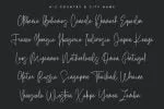 Salmander Bentols Script Signature Typeface Font