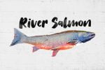 Salmon Brush Font