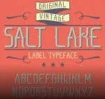 Salt Lake - Vintage Label Typeface Family Font