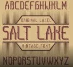Salt Lake - Vintage Label Typeface Family Font