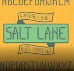 Salt Lake - Vintage Label Typeface Family Font