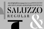 Saluzzo Font