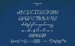Salvadores Signature Script Font