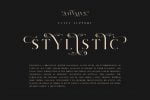 Salvalyn - Stylistic Serif Font