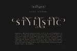 Salvalyn - Stylistic Serif Font