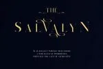 Salvalyn - Stylistic Serif Font