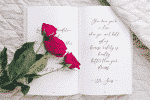 Samerosella Font