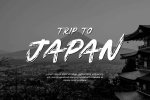Samurai Shadow Brush Handwritten Font