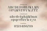 Sandatory Font