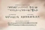 Sandatory Font