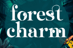 Sangi Serif Font