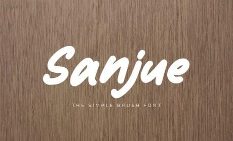 Sanjue - The Simple Brush Font