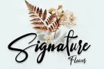 Sannastasa Font